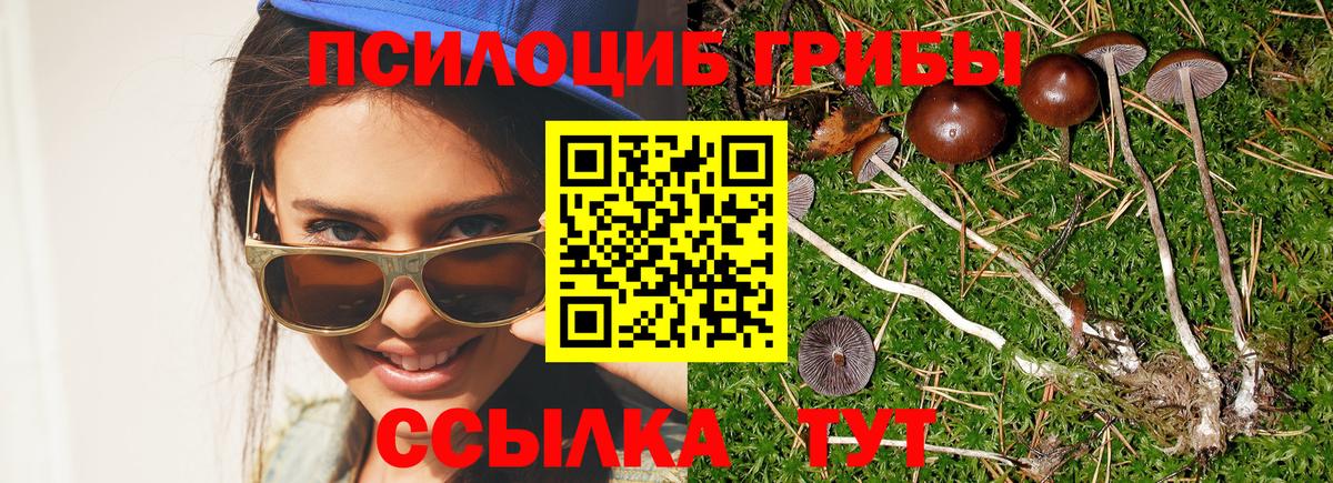 Псилоцибиновые грибы Magic Shrooms Когалым